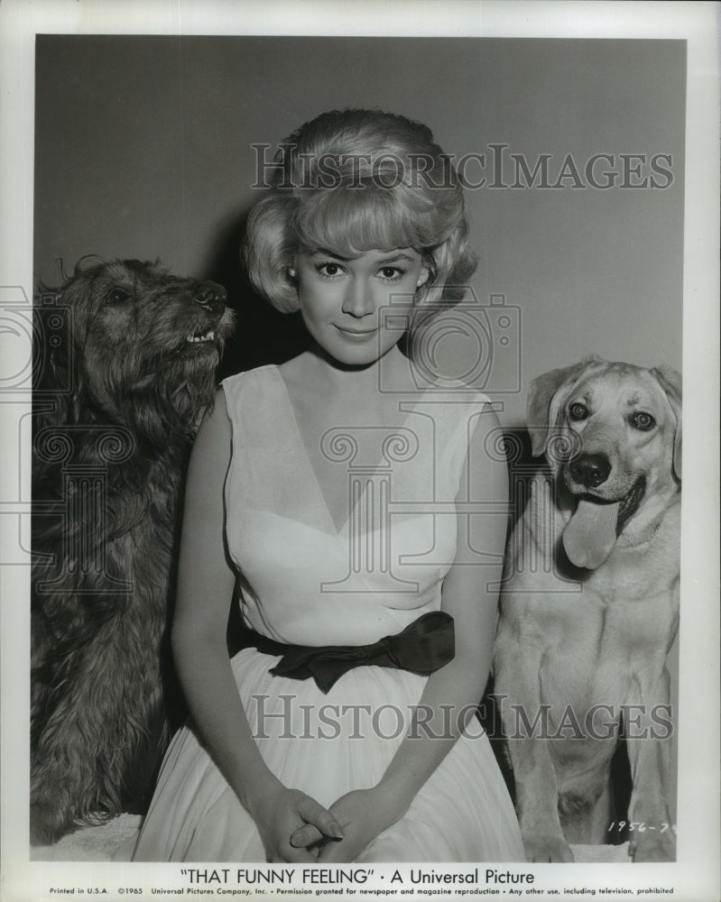 1965 Press Photo That Funny Feeling from Universal stars Sandra Dee - Historic Images