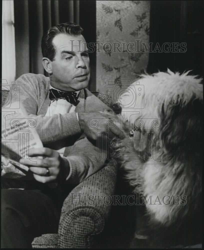 1959 Press Photo The Shaggy Dog from Walt Disney stars Fred MacMurray - Historic Images