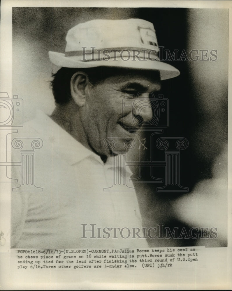 1973 Press Photo Julius Bores Chews Piece of Grass on 18 While Watching His Putt - Historic Images