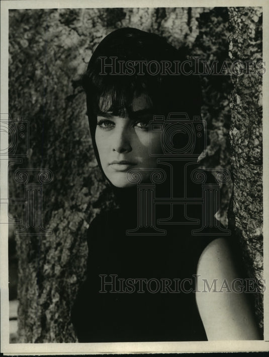 Press Photo Suzanne Pleshette Stars in "A Rage to Live" on NBC Monday Nights - Historic Images