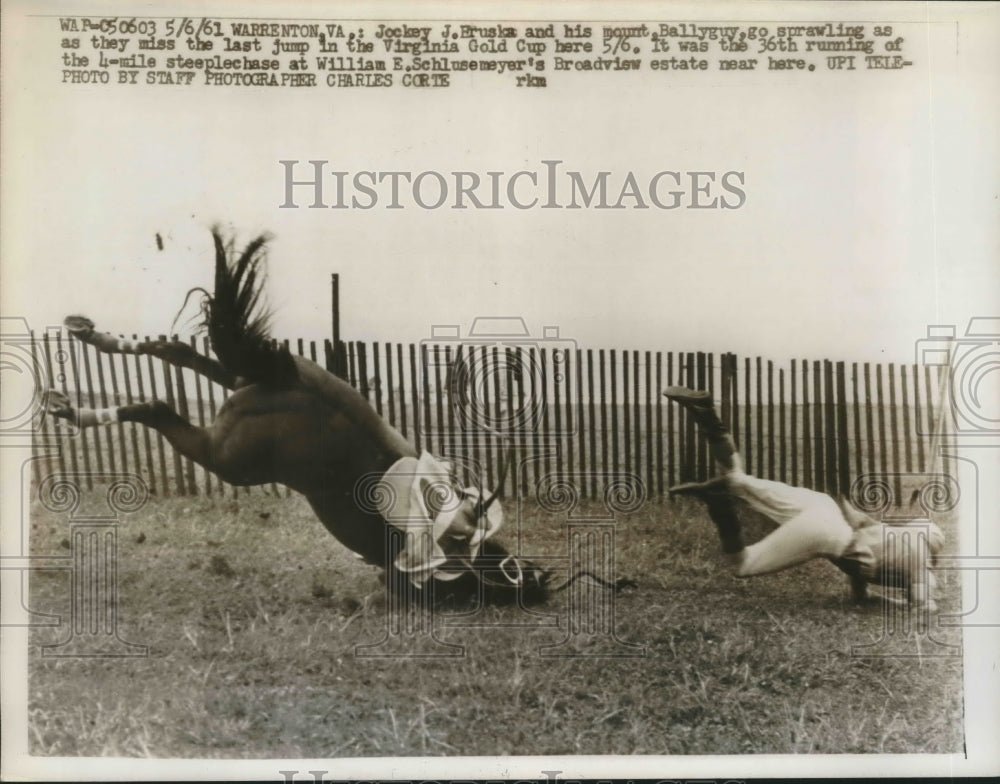 1961 Press Photo Jockey Bruska on Ballyguy Miss Jump at Virginia Gold Cup - Historic Images