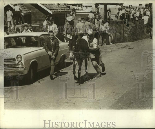 1968 Press Photo Pushing Burros during race - Historic Images