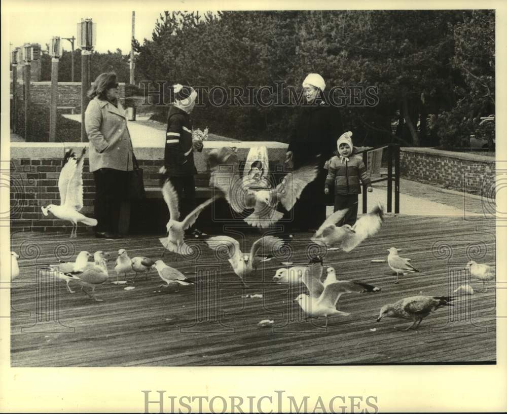 1981 Press Photo Good weather-People feed seagulls at Jones Beach today - Historic Images