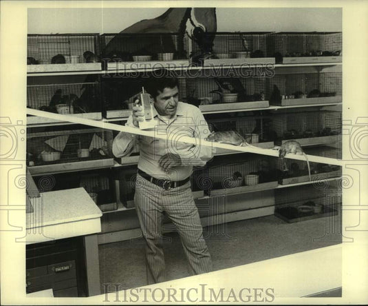 Press Photo Di Sesso trains rats to walk on planks and reward with peanut butter - Historic Images