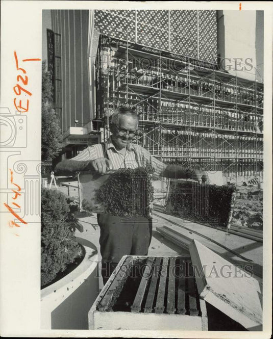 1978 Press Photo Beeman Adlai Richardson with bees near First National Bank- Historic Images