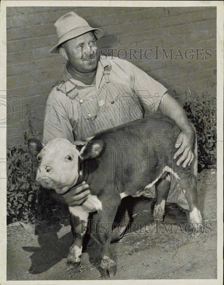 1949 Press Photo Harold Roche of Farmington with a miniature Hereford heifer- Historic Images