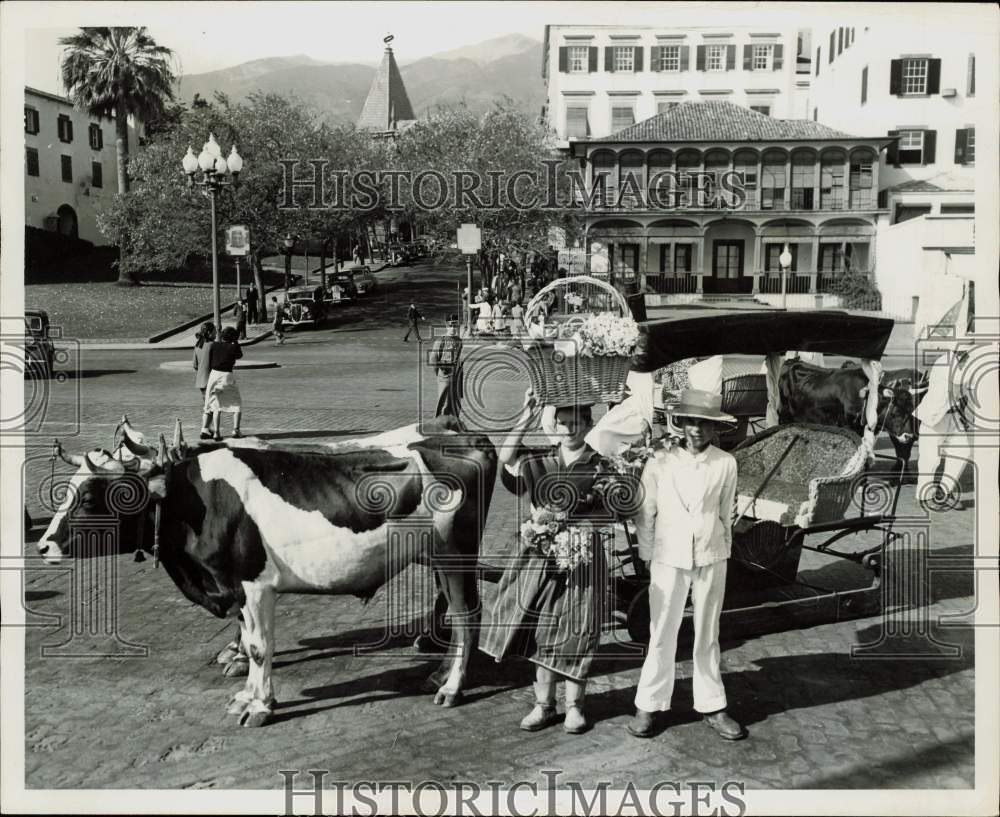 1955 Press Photo Residents with their ox-drawn sled in Funchal, Madeira- Historic Images