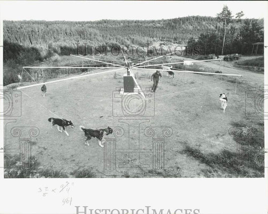 1986 Press Photo Susan Butcher's Sled Dogs on "Hot Walker" for Exercise- Historic Images