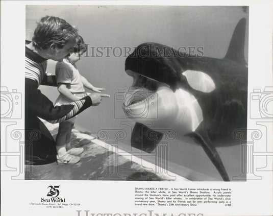 1988 Press Photo Trainer introduces a kid to orca Shamu at Sea World - lrb14451- Historic Images