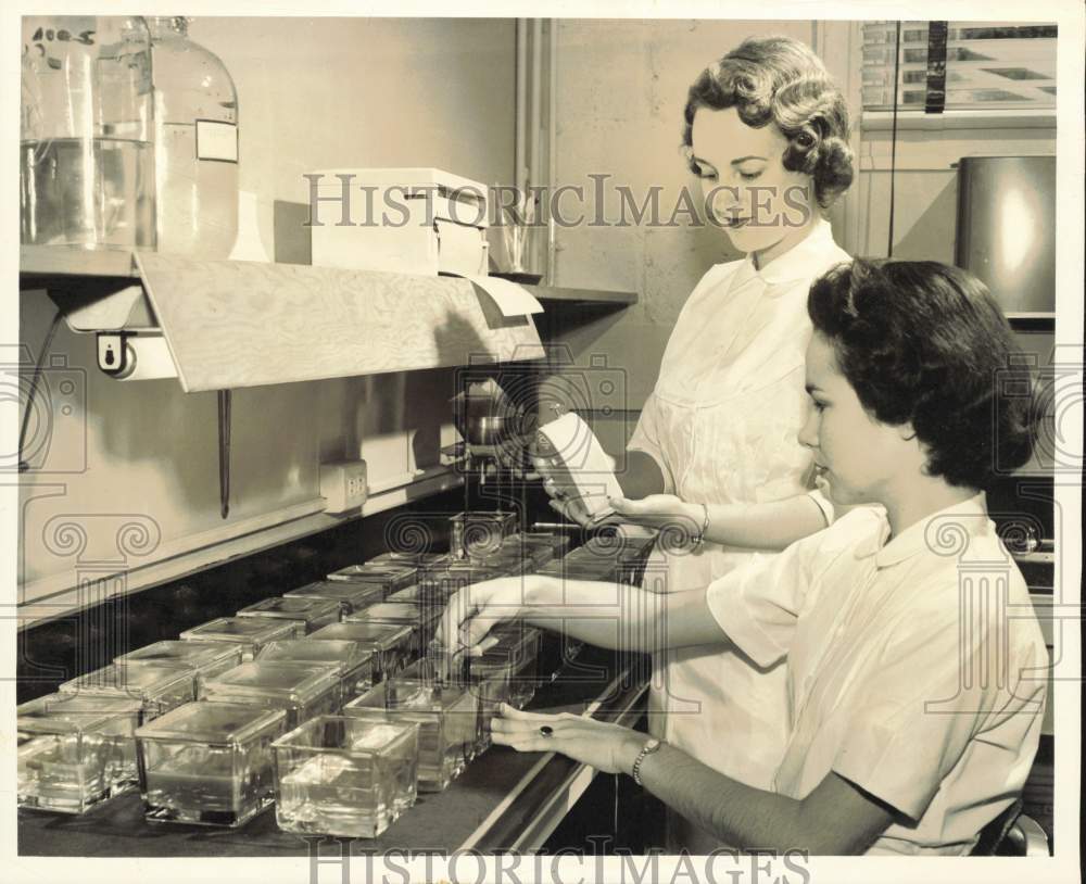 1956 Press Photo Two medical employees working at the Cancer Survey Laboratory- Historic Images