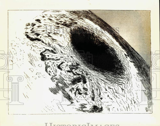 1882 Press Photo Illustration showing the appearance of Symme's Hole - lrb27501- Historic Images