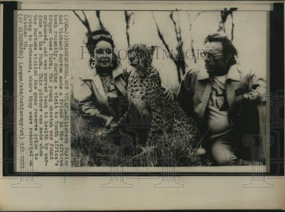 1975 Liz Taylor &amp; Richard Burton Make Friends With Cheetah in Africa - Historic Images