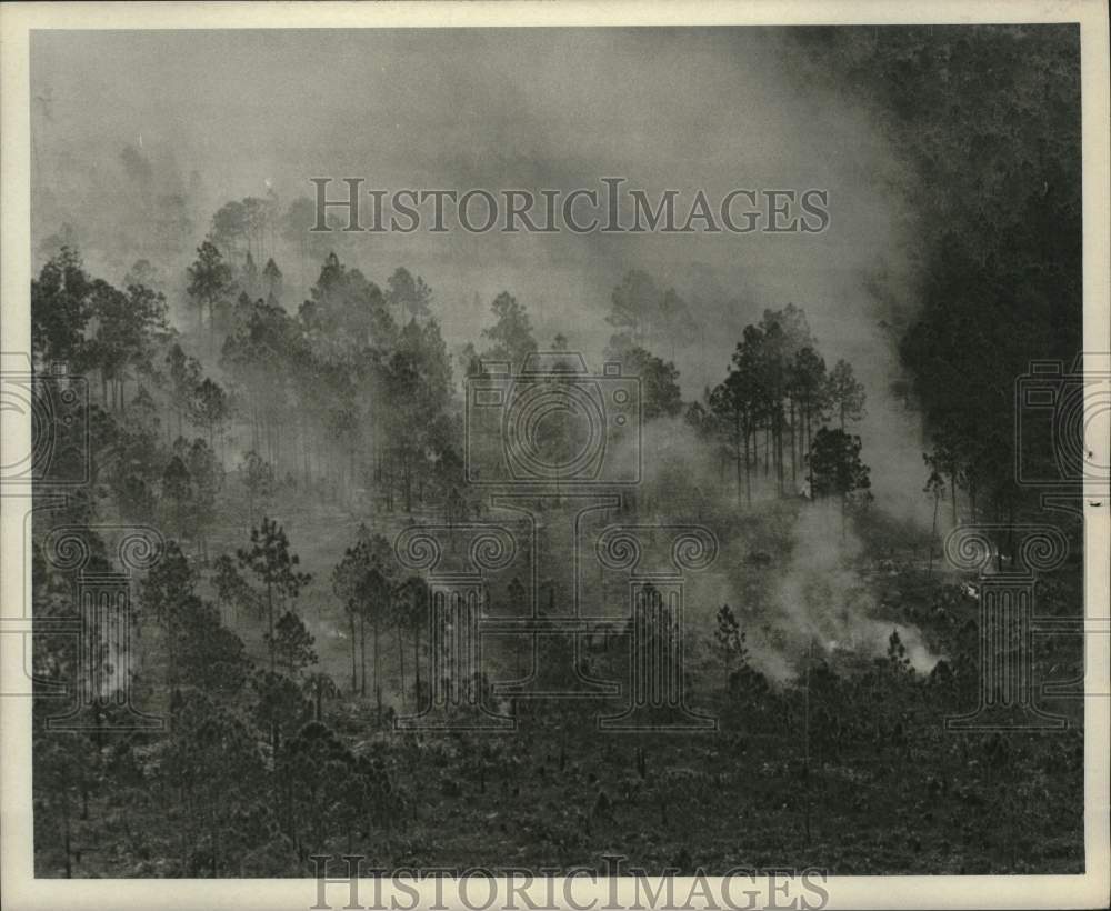 1967 Glades Fire about 60 miles Northwest of Miami - Historic Images