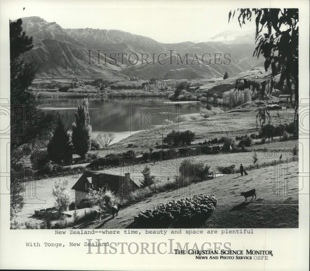 1979 Picturesque view of mountains and lake in Tonge New Zealand - Historic Images