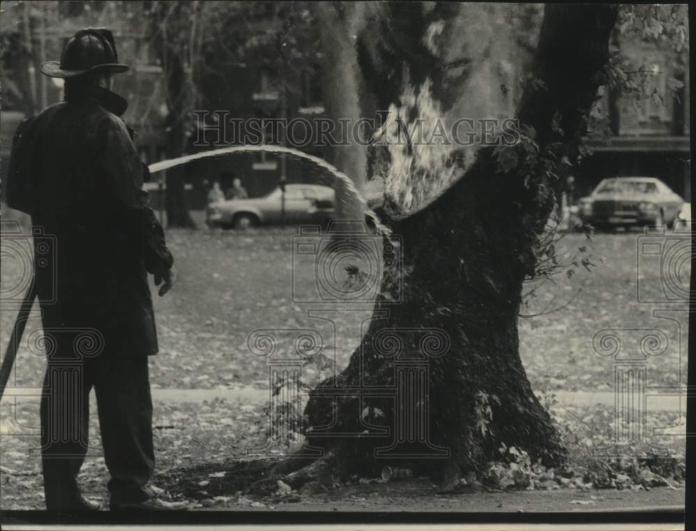 1976 Firefighter Fights Yellow Jackets in Chicago - Historic Images