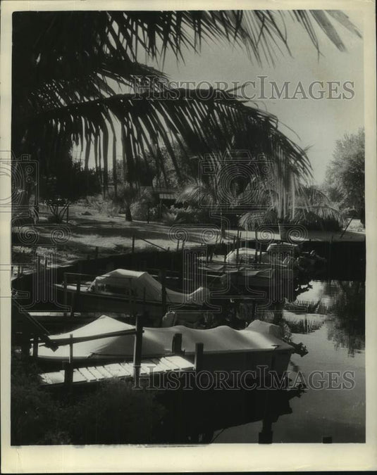1963 Florida scene-Majestic view of the Martin County-Historic Images