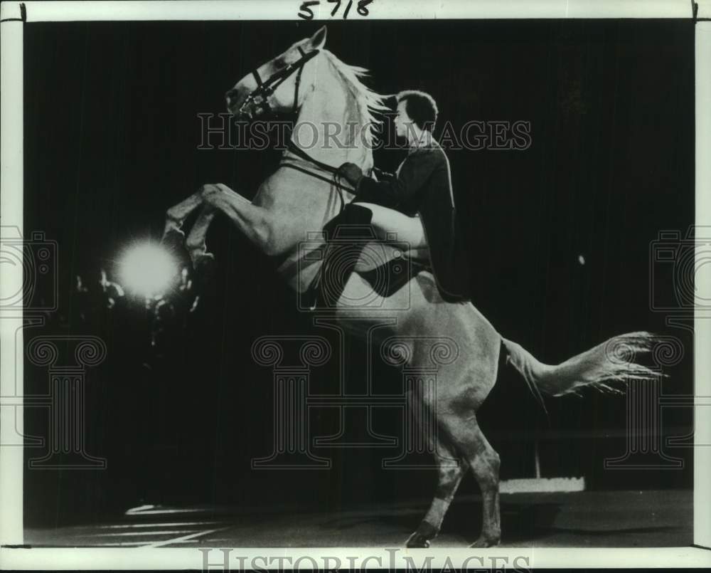 1984 Royal Lipizzan Stallion performs at a university in New Orleans - Historic Images