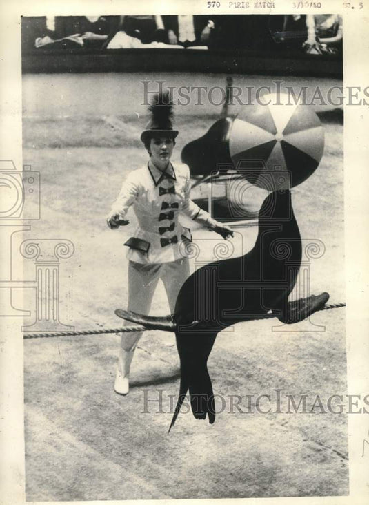 1960 Actress Jean Seberg trained seal at Annual Paris Artists Ball - Historic Images