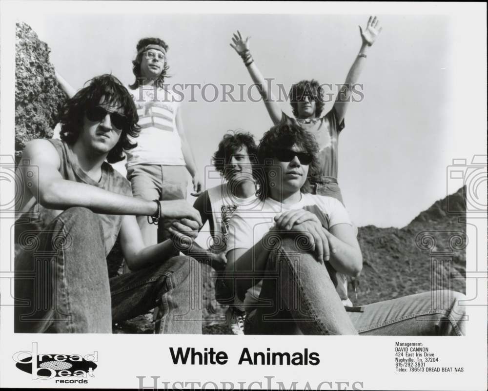 1985 Press Photo White Animals, Music Group - lry25141- Historic Images