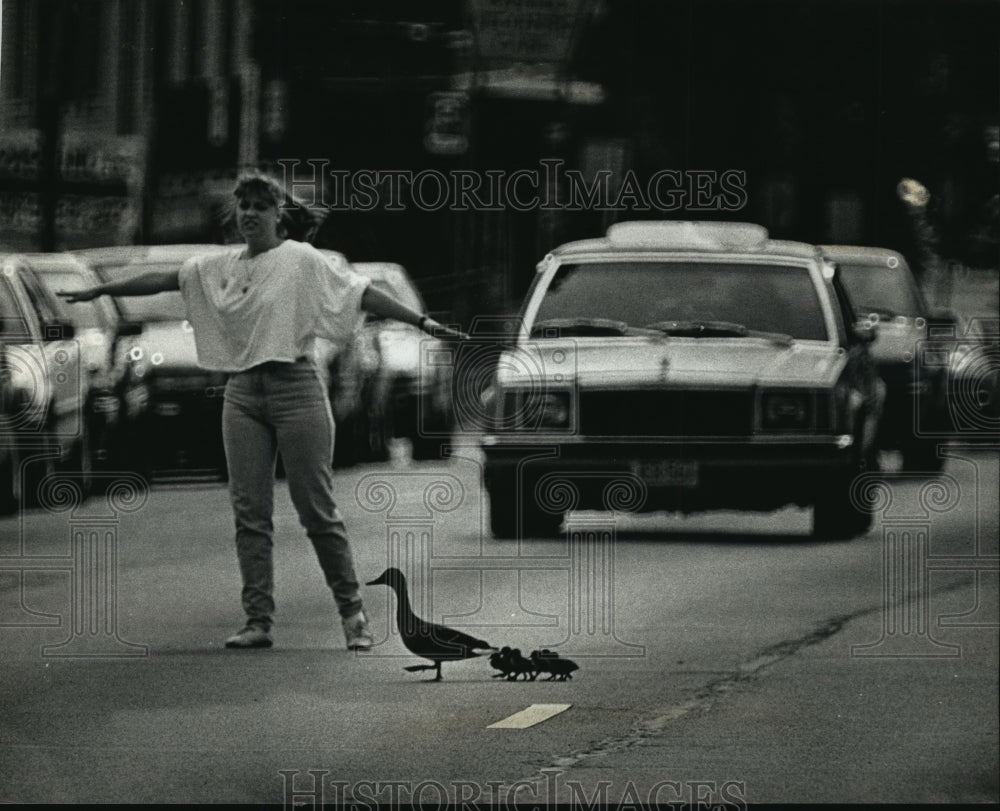 1992 Press Photo Kristine Olson helps ducks to cross street at Capitol Drive - Historic Images