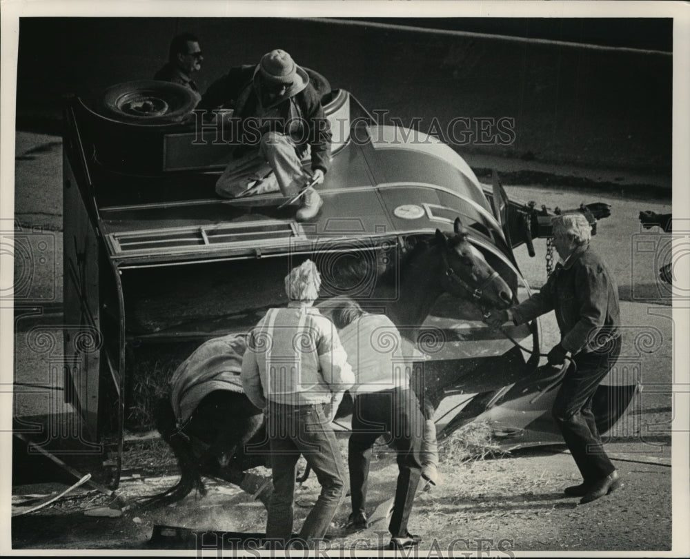 1988 Press Photo Gi Gi rescued after trailer met an accident on North-South Fwy - Historic Images