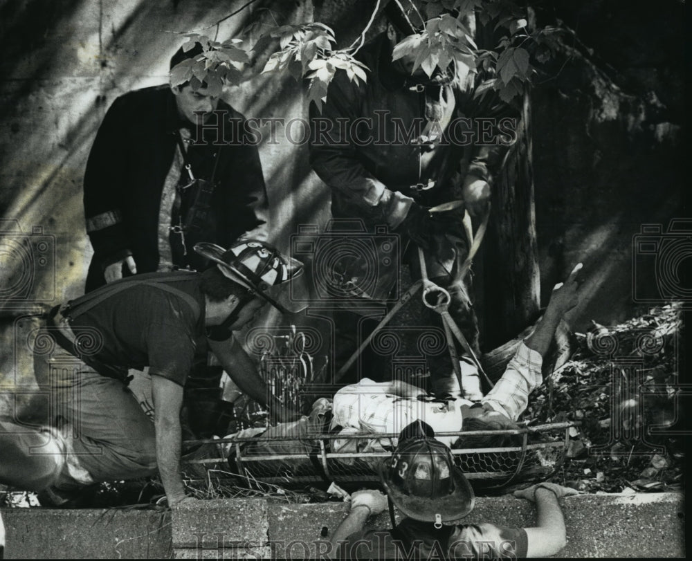 1990 Press Photo Milwaukee firefighters prepare to remove a man fell from tree - Historic Images