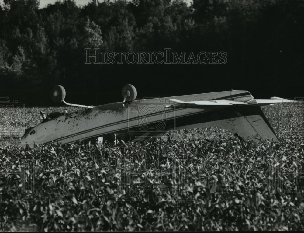 1993 Press Photo Airplane piloted by Russell Darrow Jr. crashed in a cornfield - Historic Images