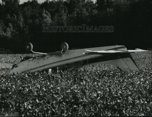1993 Press Photo Airplane piloted by Russell Darrow Jr. crashed in a cornfield - Historic Images