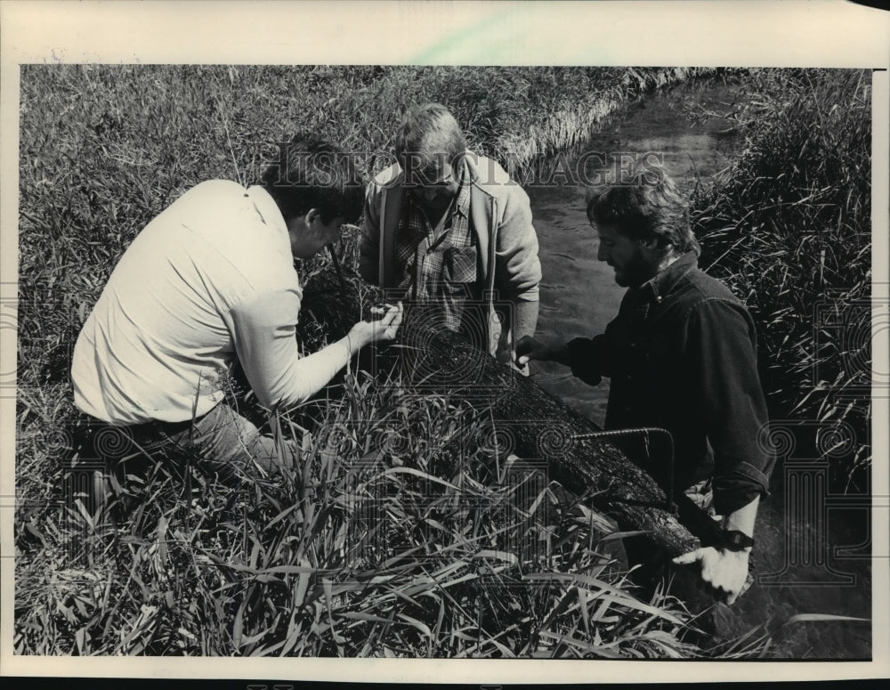 1986 Press Photo John Nelson, James Steinke and Michael Bryan inspecting insects - Historic Images