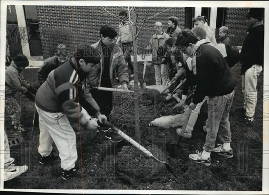 1992 Press Photo Students from Glen Hills Middle School plant tree for Earth Day - Historic Images