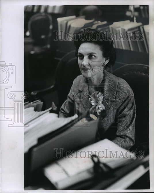 1988 Press Photo Mrs Carolyn Blanchard Allen, Wisconsin Assembly Woman - Historic Images