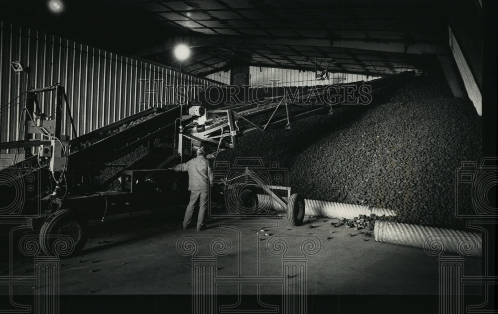 1992 Press Photo Russet Burbank potatoes are stored in climate-controlled bldg-Historic Images