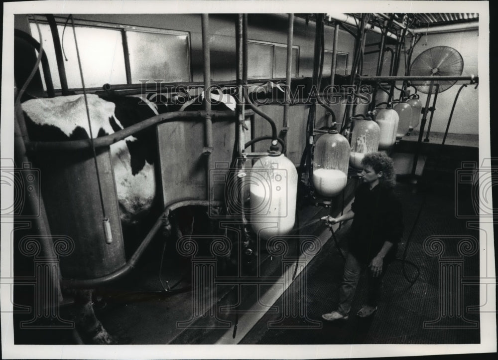 1992 Press Photo Lori Paulus cleaning the milking parlor before milking cows - Historic Images