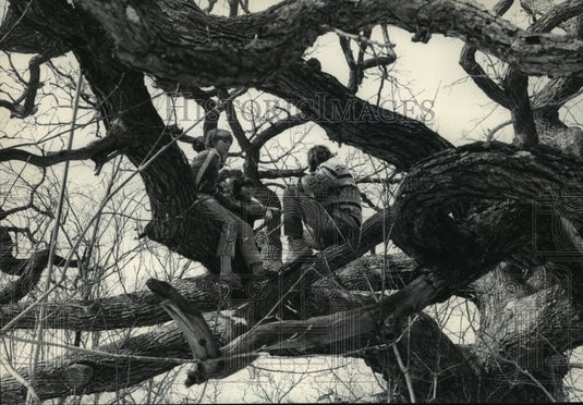1983 Press Photo Bill King and his students talked in the climbing tree - Historic Images
