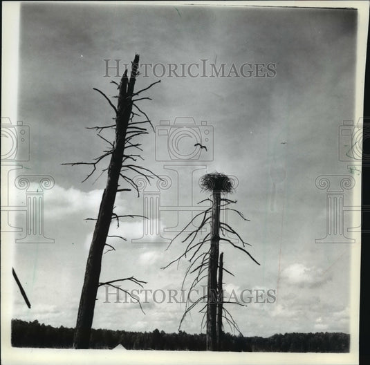1982 The 4-foot-square platforms are mounted on 30-foot-tall utility-Historic Images