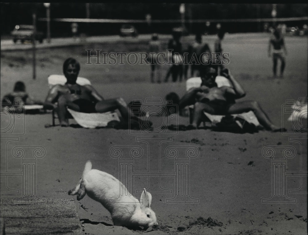 1989 Press Photo Memorial Day weekend at Bradford Beach - mja07221 - Historic Images