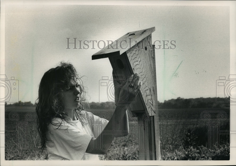 1989 Press Photo Audobon Society volunteer Erika Morrison checks bluebird nest - Historic Images