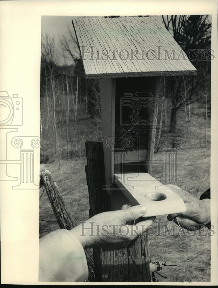 1987 Homes in Barron County are waiting for the Eastern bluebird-Historic Images