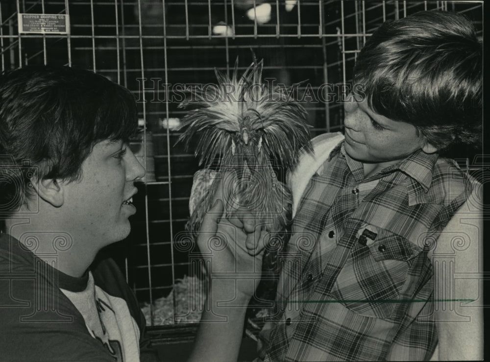 1984 Press Photo John Mohr checked a non-bearded buff laced Polish cockerel-Historic Images