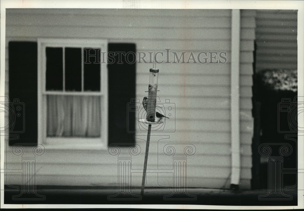 1990 Press Photo Report shows birds don't become addicted to outdoor feeders-Historic Images