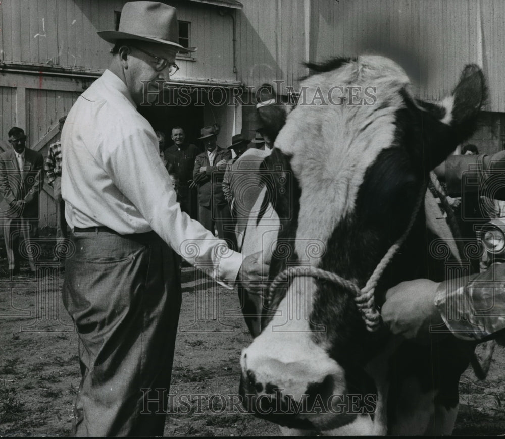 1958 Press Photo Sec. of Agriculture Benson inspects cow on Walter Hood farm - Historic Images