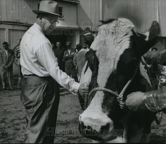1958 Press Photo Sec. of Agriculture Benson inspects cow on Walter Hood farm - Historic Images