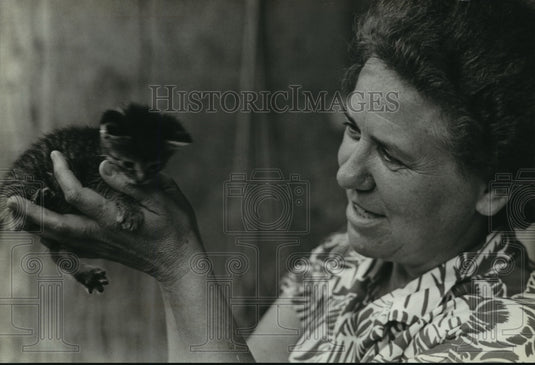 1981 Press Photo Litter of kittens, among wildlife on Genevieve Bancroft's farm-Historic Images