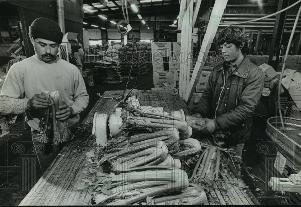 1982 Press Photo Fernando Guerrero &amp; Fernando Cruz worked at Mattax Produce - Historic Images