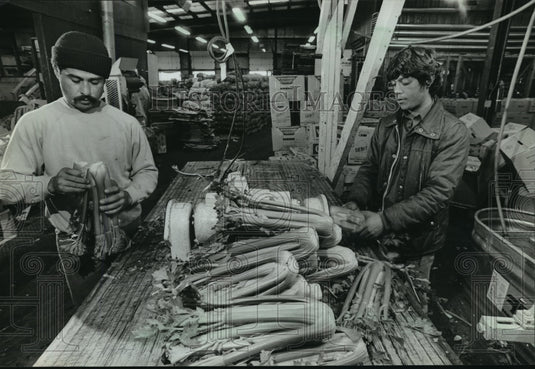 1982 Press Photo Fernando Guerrero & Fernando Cruz worked at Mattax Produce - Historic Images