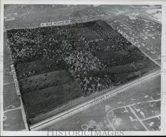 1971 Press Photo Bishop's Woods, one of few unmolested sites in metropolitan-Historic Images