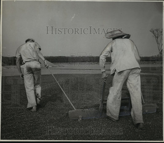 1946 Press Photo Coffee is spread on large outdoor brick floor at Aranas, Brazil-Historic Images