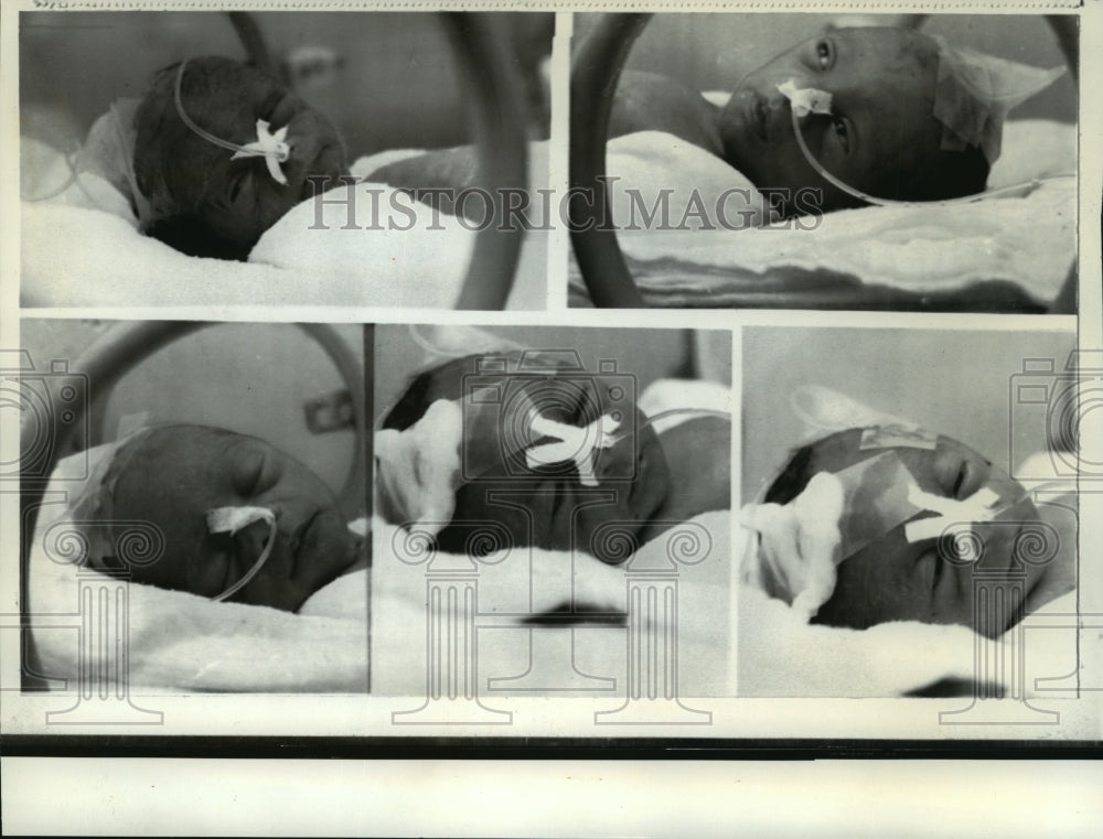 1971 Press Photo Israel&#39;s first quintuplets born to Mr. and Mrs. Yitzhak Berman-Historic Images