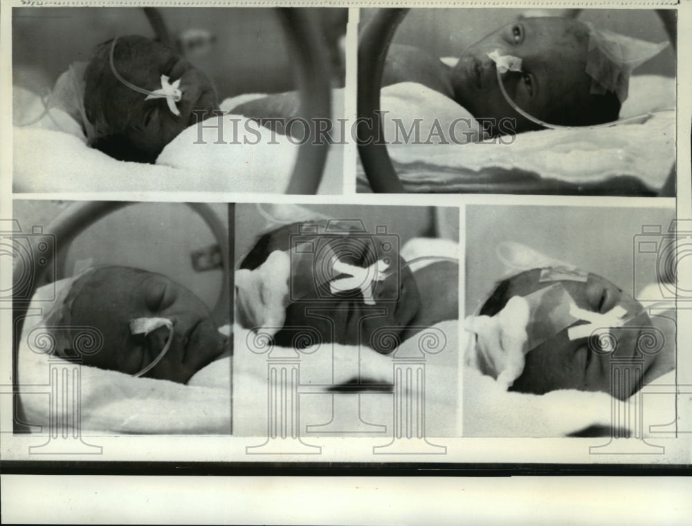 1971 Press Photo Israel's first quintuplets born to Mr. and Mrs. Yitzhak Berman-Historic Images