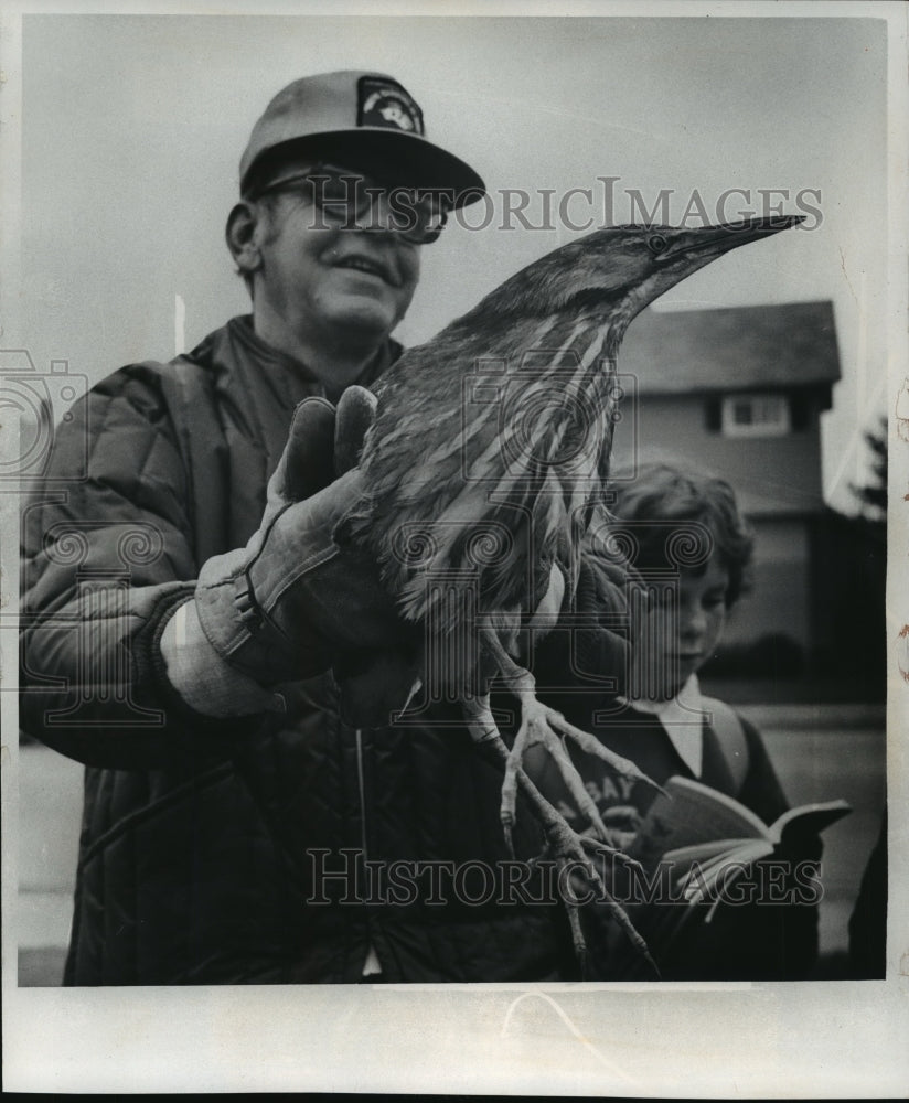 1978 Press Photo An injured bittern, which was found by Bill Julian - mja12209 - Historic Images